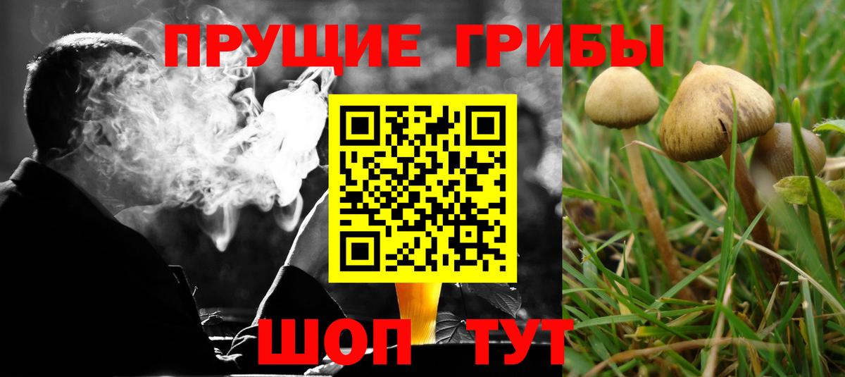Галлюциногенные грибы прущие грибы  Вход с VPN  сколько стоит  Лянтор 